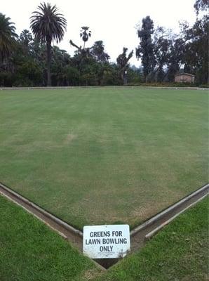 Lawn bowling grass