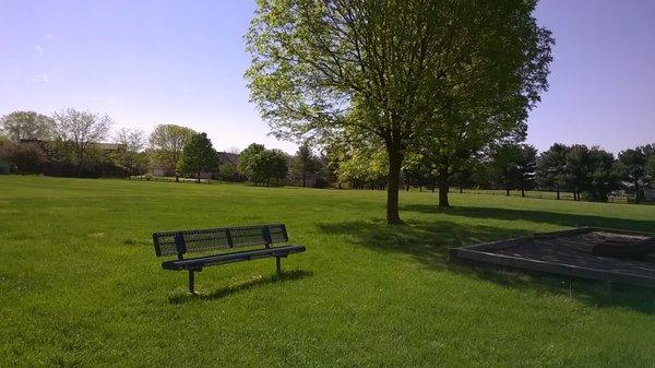 shade trees and benches