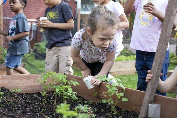 Cornerstone Ctr For Early Learning