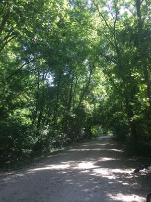 4.75 miles east of Katy bike rentals... Canopy of trees :-)