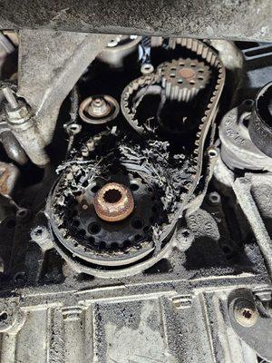 This is the serpentine belt in the timing belt