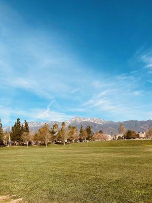 View from the field