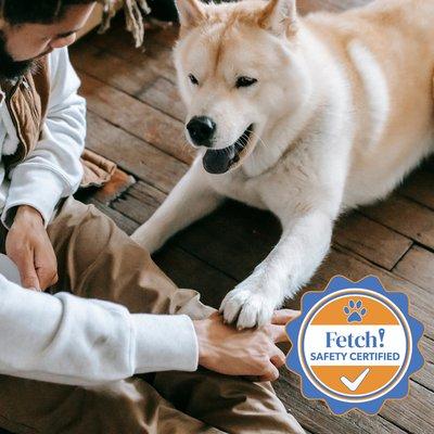 Fetch! Pet Care of Frisco