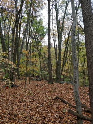 Hiking on the north side of the park