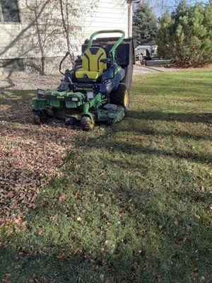 Fall Leaf Cleanup