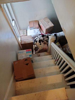 My stairs were blocked and I could not lift the boxes, trapping my dogs downstairs