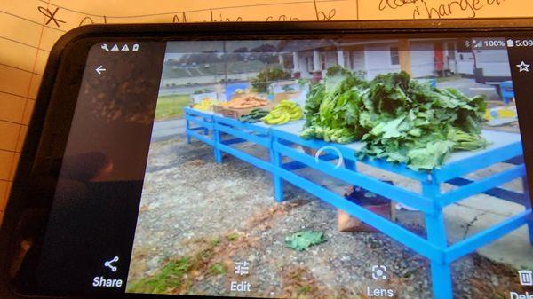 Collard greens, yellow squash, and sweet potatoes.