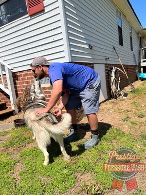 We do ask that they go inside while we wash - however before and after a house wash, your pets are safe, welcome, and loved by our team.