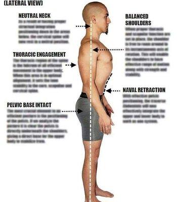 Often to get to the root of a recurring problem we must address one's posture or biomechanics.