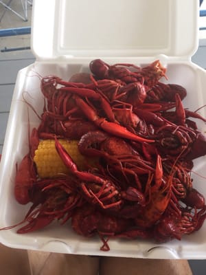 Crawfish