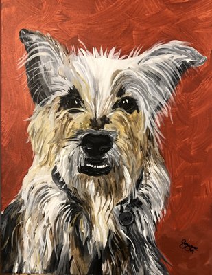 Paint your own pet, or commission our artists!