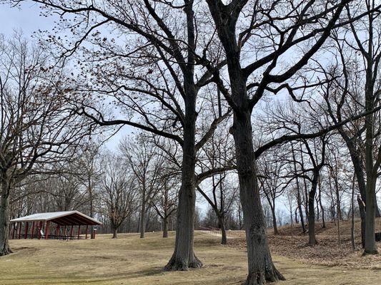 Picnic area