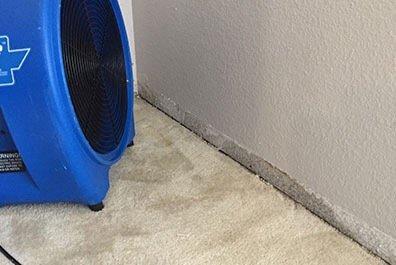 Drying out baseboards and carpet after water damage.