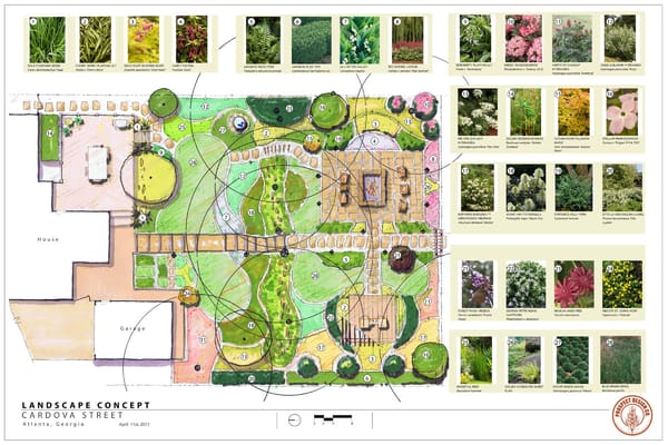 Master Plan and Plant Pallet