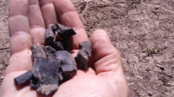 BioChar for healthy plants