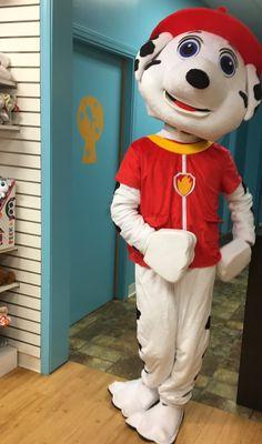 7/29/17. Saturday afternoon!! Hey, look, y'all!! It's Marshall from Paw Patrol!! Live in the store today!! Yaaaaay, Marshall!! : )