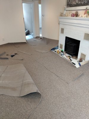 Cleaning carpets and much more.