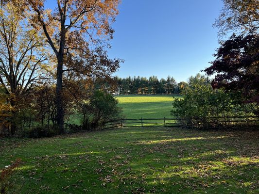 View from the porch