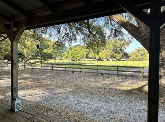 View from the bunk house