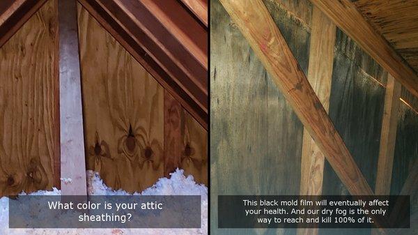 Instapure kills all mold in the air and all surfaces including in and throughout your insulation. Everpure provides ongoing protection.