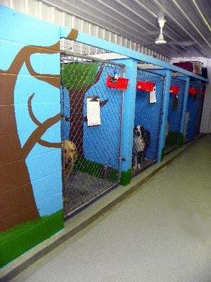 Kennel Area