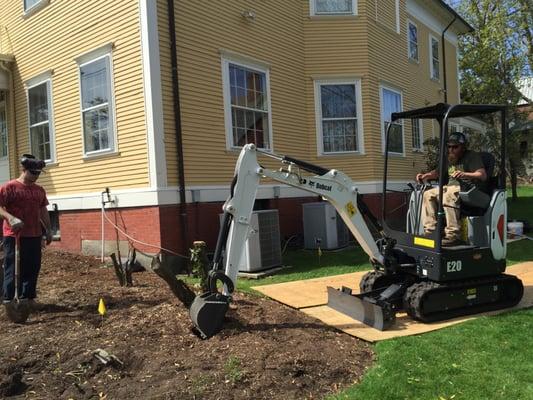 Landscape renovation, out with the old, in with the new.