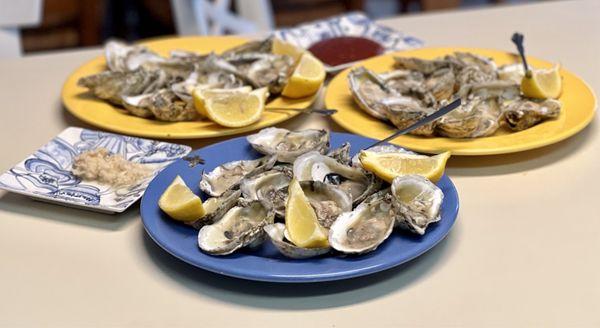 Oysters