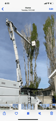 Intermountain Tree Experts