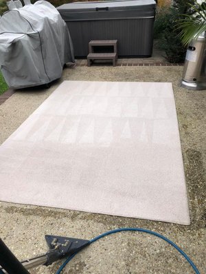 Rug Cleaning