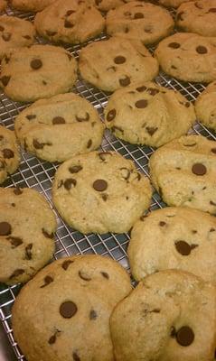 Gluten Free choc chip with QUINOA and peanut butter