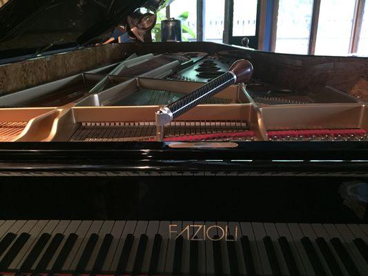 We service all of the world's finest concert instruments. Pictured here the Fazioli 10'2" Model 308 concert Piano.