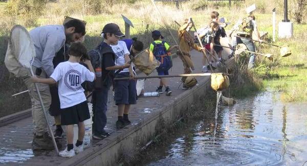 Kids scoop critters out of the pond.