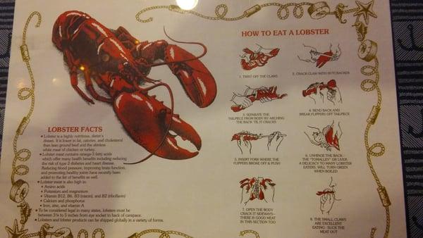 How to eat lobster!