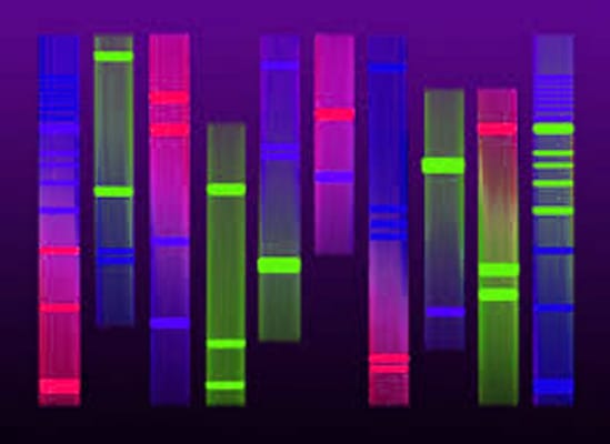 Adult Education Seminars and Presentations on Scientific Topics such as DNA Profiling and Poisons Toxicology, Basic to Advanced Levels