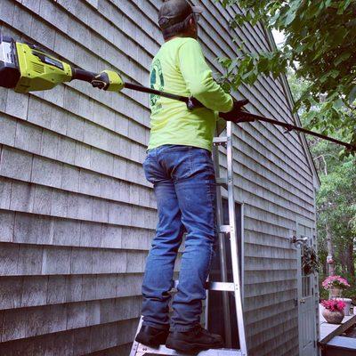 Small Tree Work, Limb Trimming