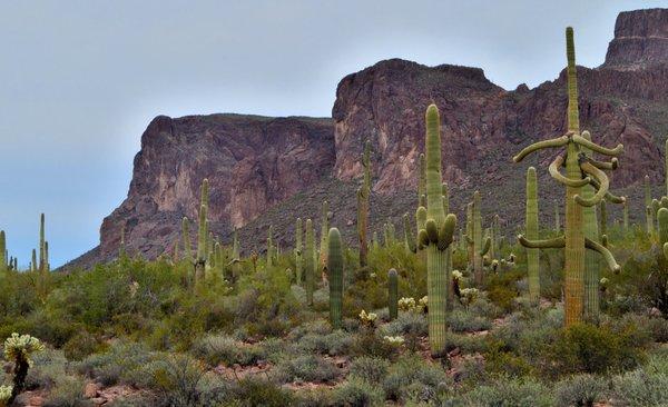 The beautiful Superstition Mountains - great hiking!