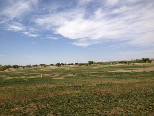 Driving range