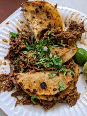 Tacos Barbacoa