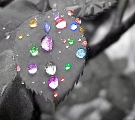 Raindrops of color