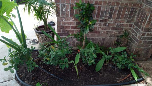 We do landscaping in gardening beds!