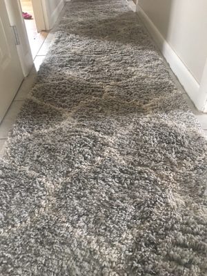 Rug that never got cleaned