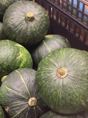 Kabocha Squash