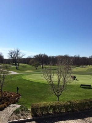 Overlooking the course from the clubhouse.