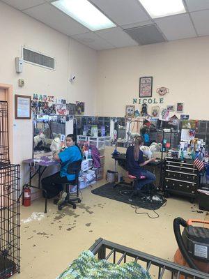 This is Madison and Nicole. Two of the groomers here at town and country grooming.