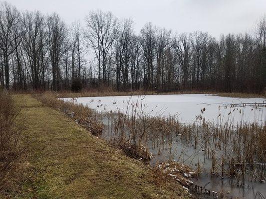 Pond on the trail.