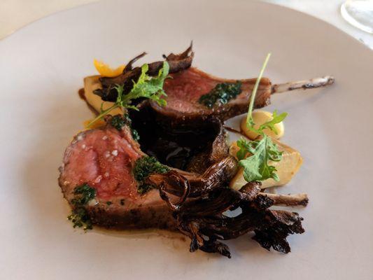 Lamb chops (globe artichoke, wood-grilled oyster mushroom, preserved Meyer lemon puree, salsa verde, kumquat) - Mercy of the Chef