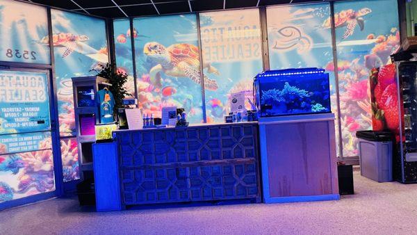 Front of Aquatic Sealife