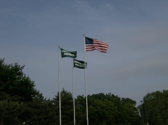 Flags in Front