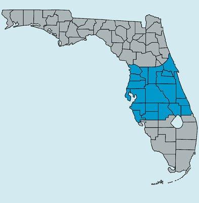 We serve all of Central Florida. Flagler, Volusia, Seminole, Orange and Lake Counties.