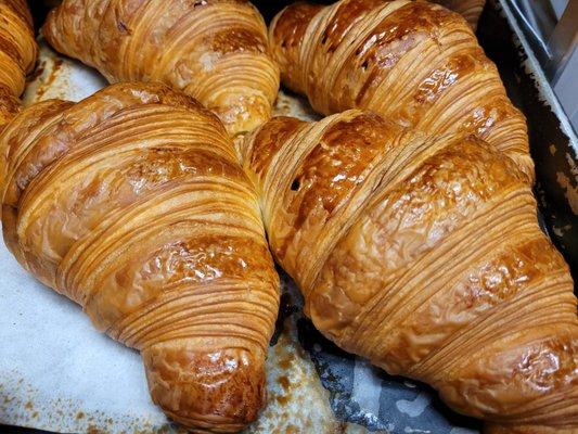 Buttery Croissant